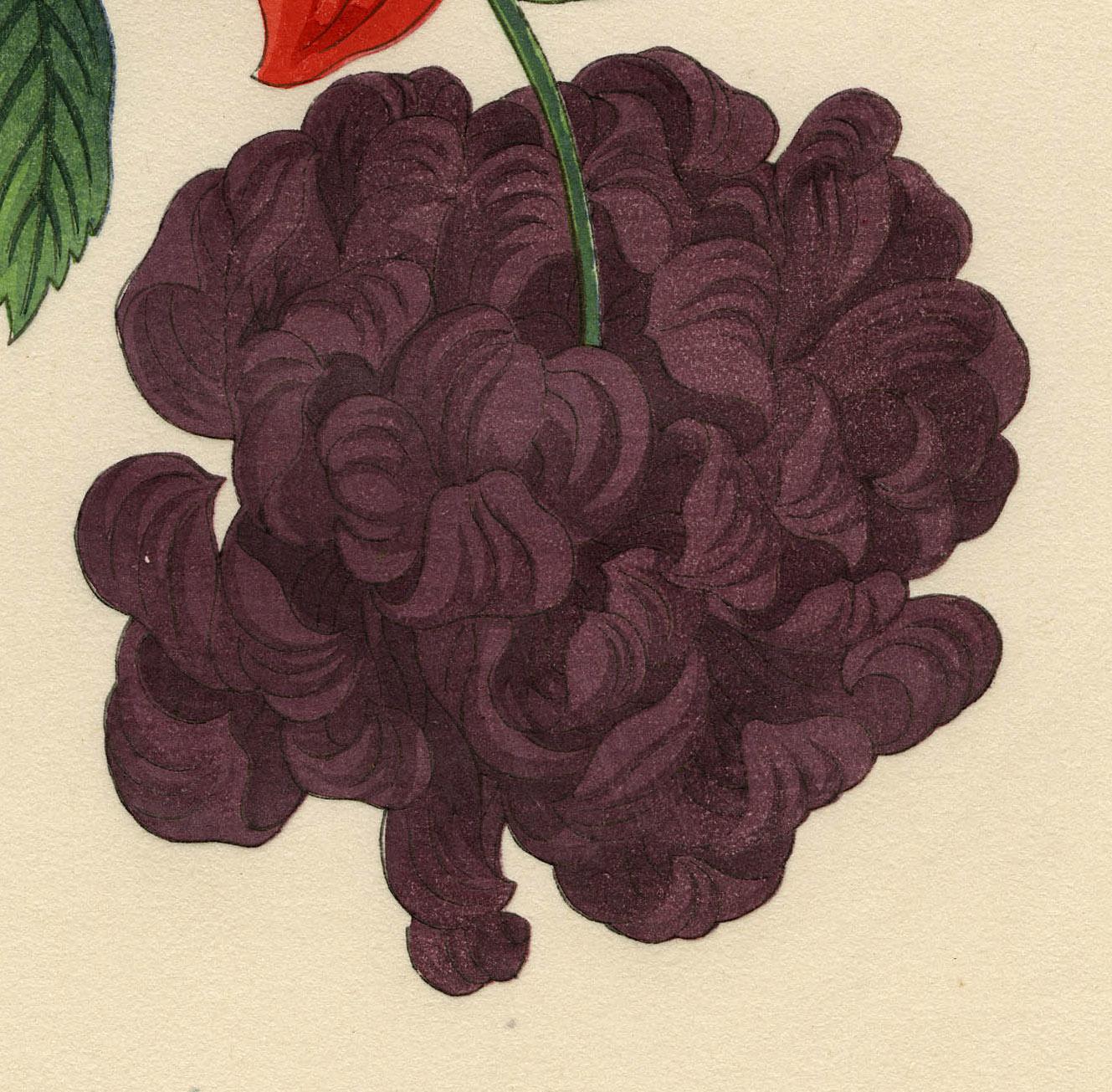Dahlias
Color woodcut, 1939
Unsigned (as usual)
Format: oban
Publisher: Takemura Hideo
Stamp verso: 
