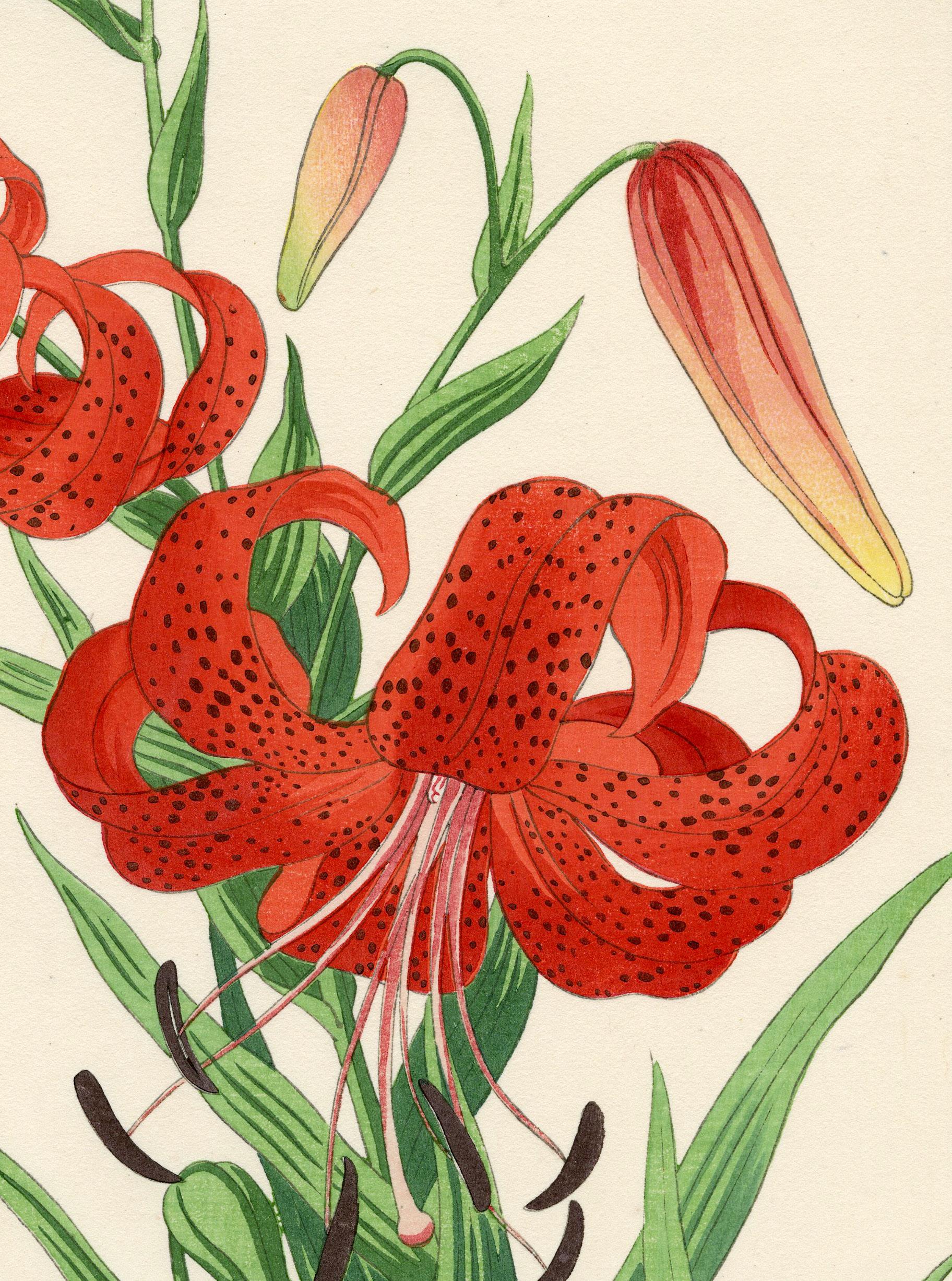 Lirio Tigre - Print de Nishimura Hodo
