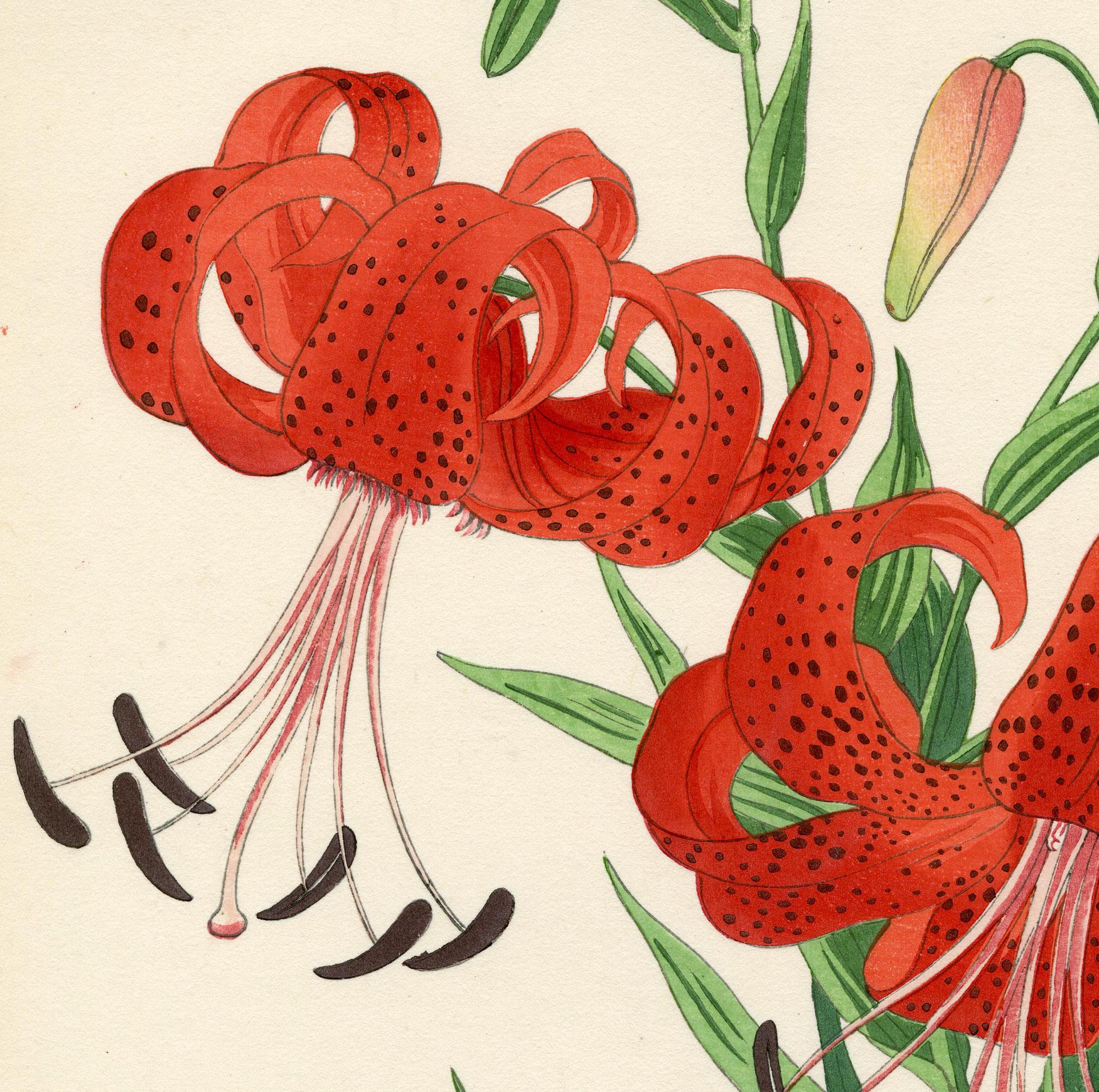 Lirio Tigre - Print Moderno de Nishimura Hodo