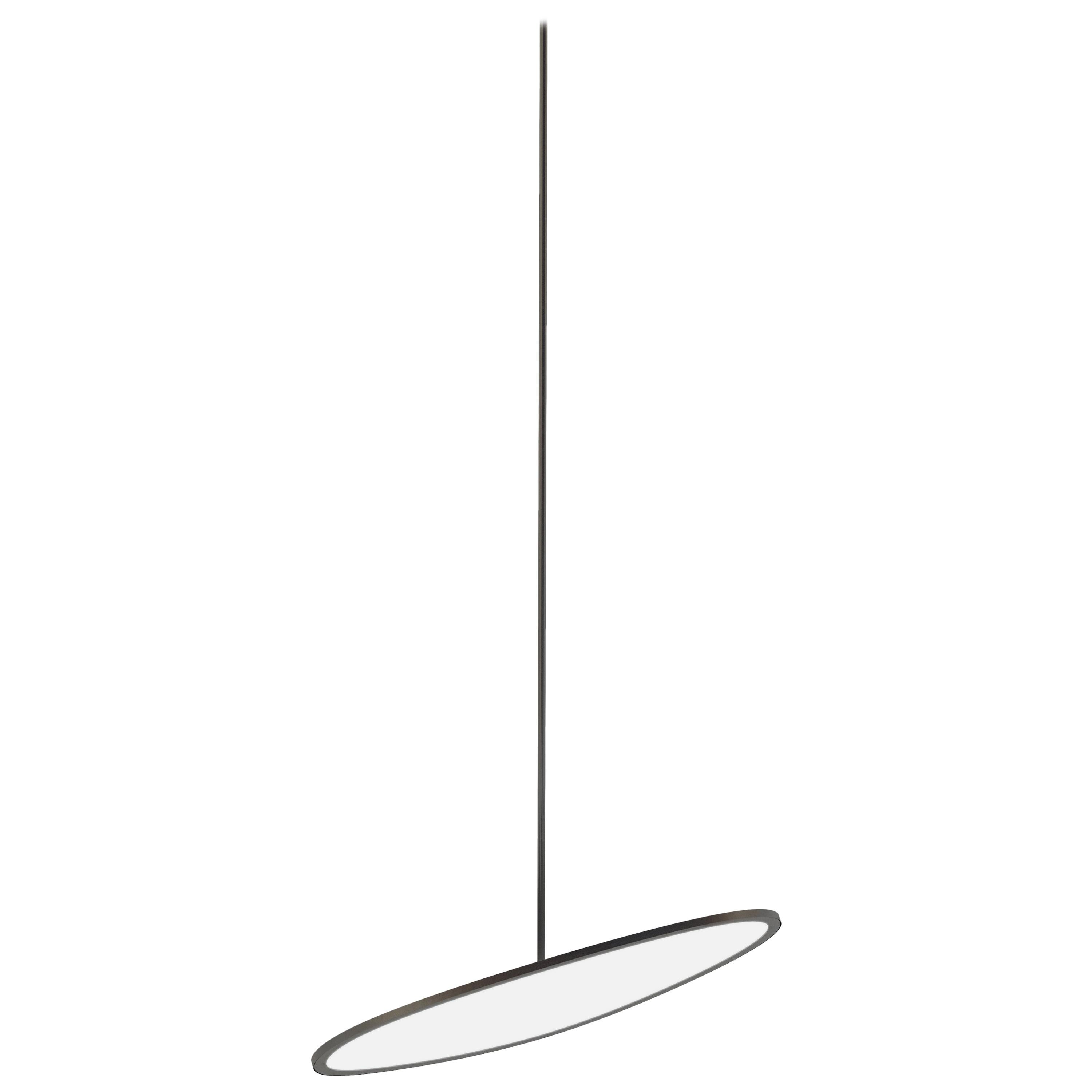 Nix Ovoid Pendant Light in Black by Matter Made For Sale