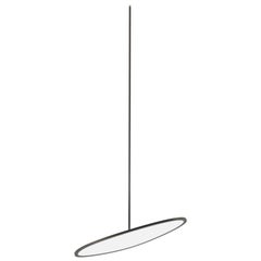 Nix Ovoid Pendant Light in Black by Matter Made