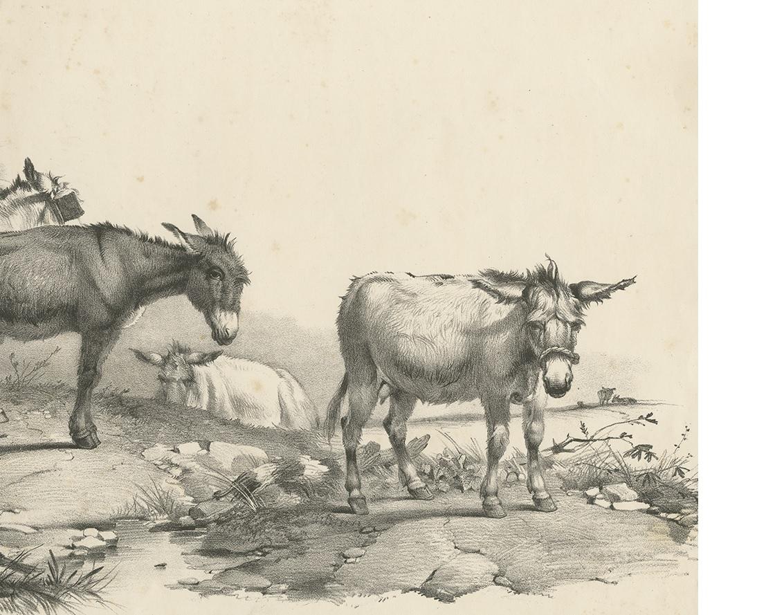 19th Century No. 10 Antique Print of Donkeys by Cooper For Sale