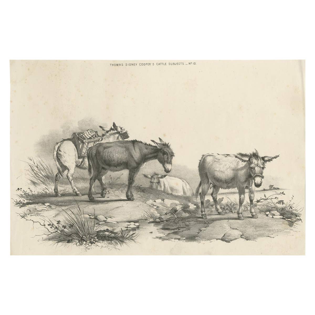 No. 10 Antique Print of Donkeys by Cooper, 1839