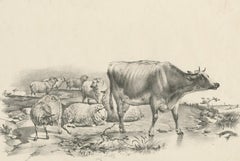 No. 11 Antique Print of Sheep and a Cow by Cooper '1839'