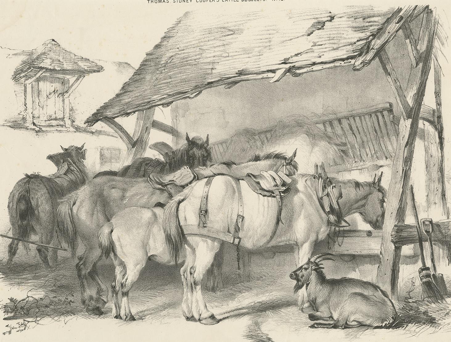 The antique print featuring horses and a goat originates from 'Cattle Subjects' by Thomas Sidney Cooper, an esteemed English landscape painter renowned for his captivating depictions of cattle and farm animals. Published in 1839, this work by Cooper