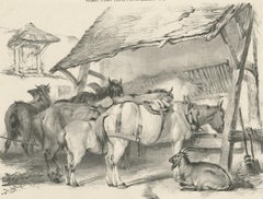 Grabado antiguo del siglo XIX de Caballos y una cabra por Cooper, 1839