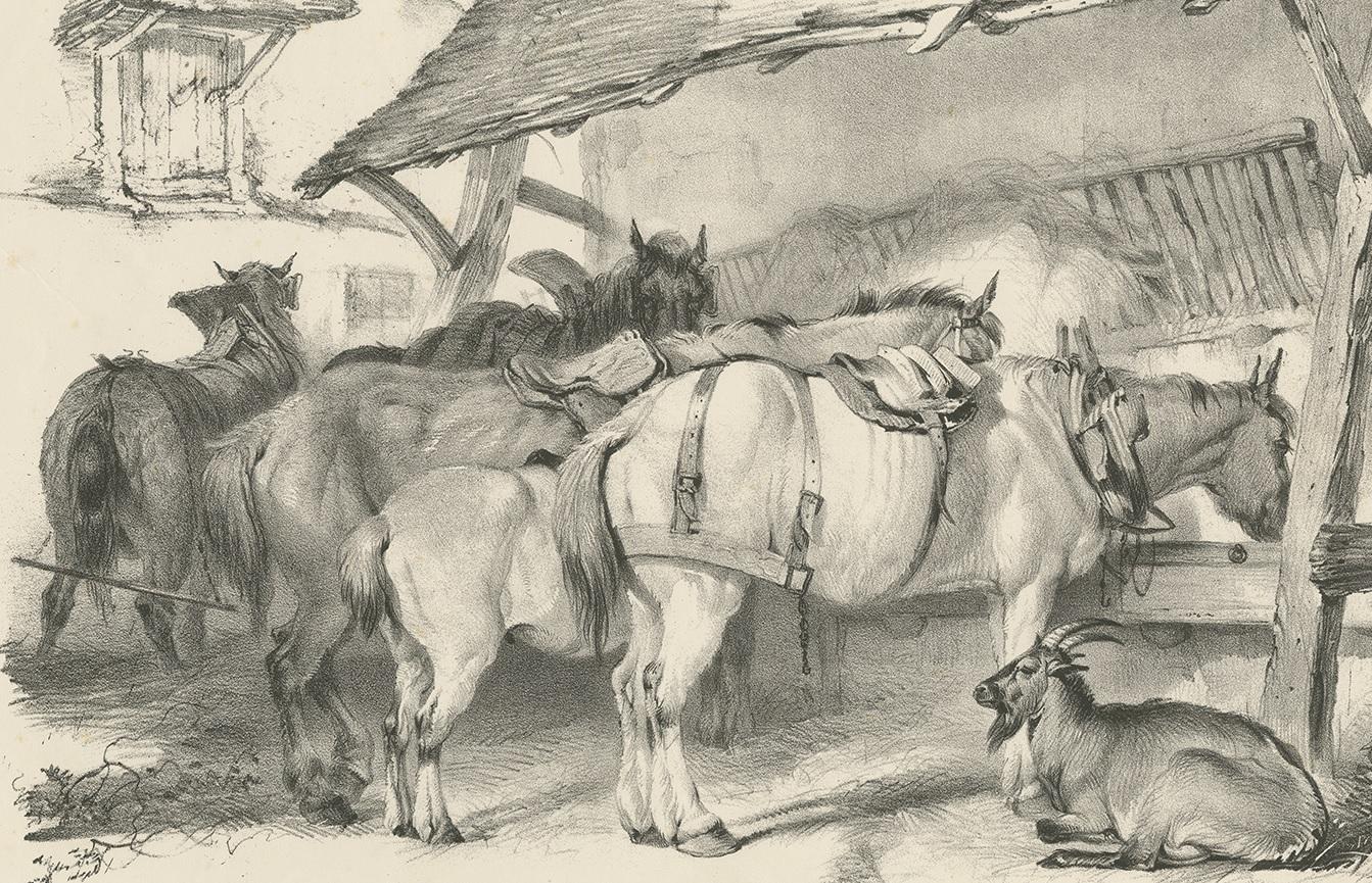 19th Century Antique Print of Horses and a Goat by Cooper, 1839 In Good Condition For Sale In Langweer, NL