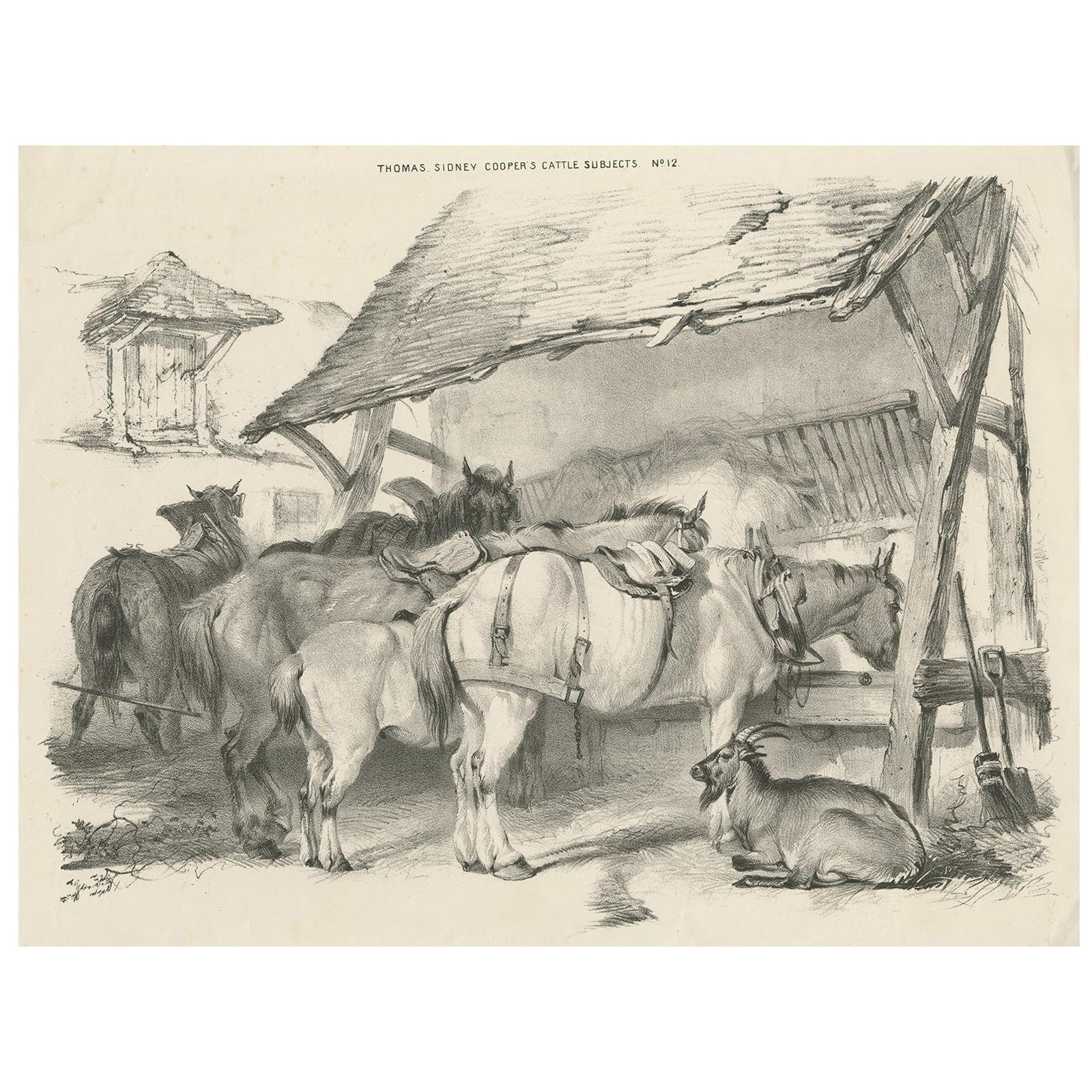 Impression ancienne du 19e siècle représentant des chevaux et une chèvre par Cooper, 1839