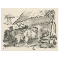 Antiker Druck von Pferden und einer Ziege aus dem 19. Jahrhundert von Cooper, 1839