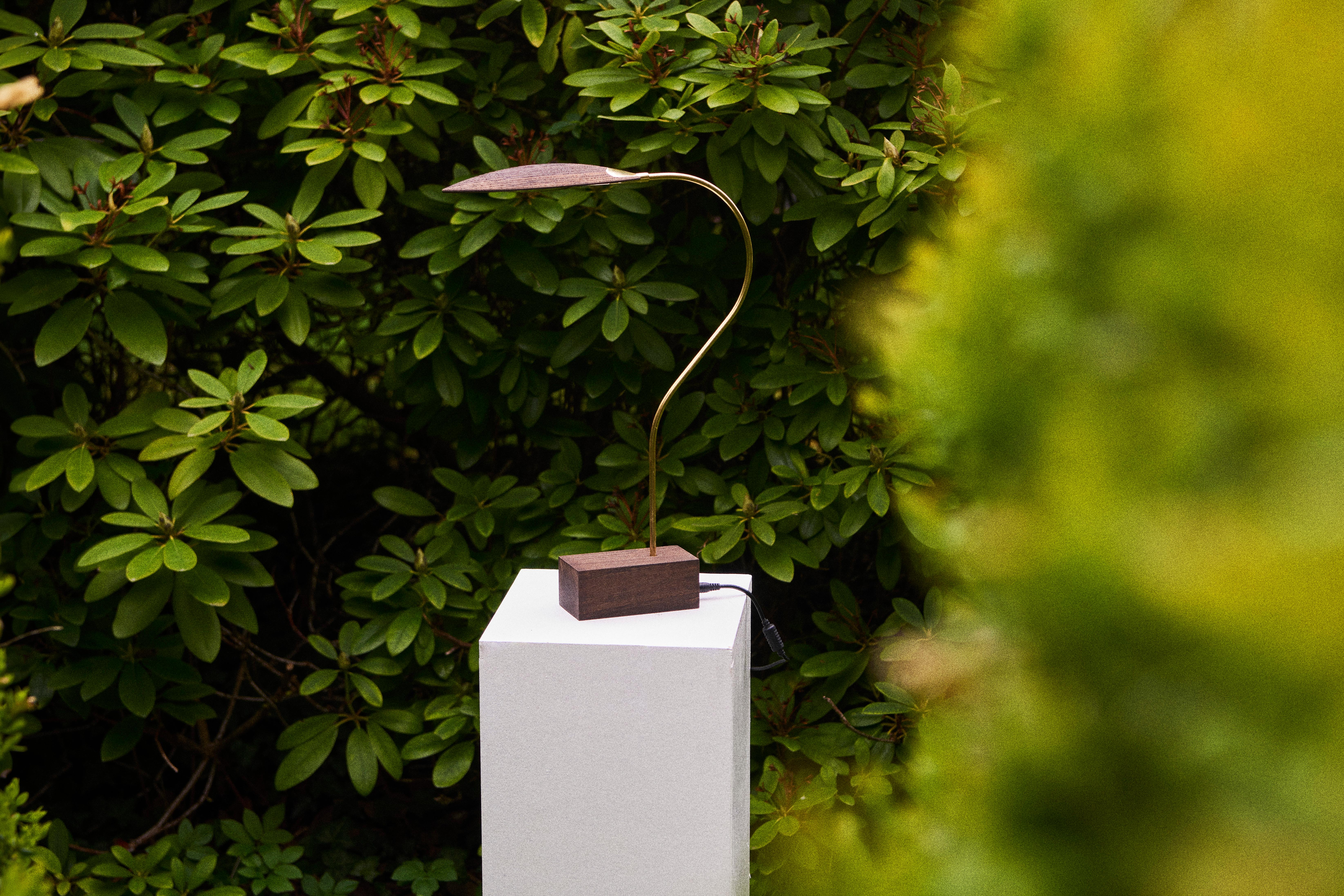 No. 2 Lampe à poser en bois d'orme par Mernøe en vente 2