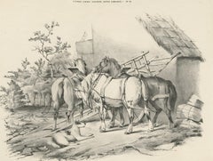 No. 20 Impression ancienne de chevaux par Cooper