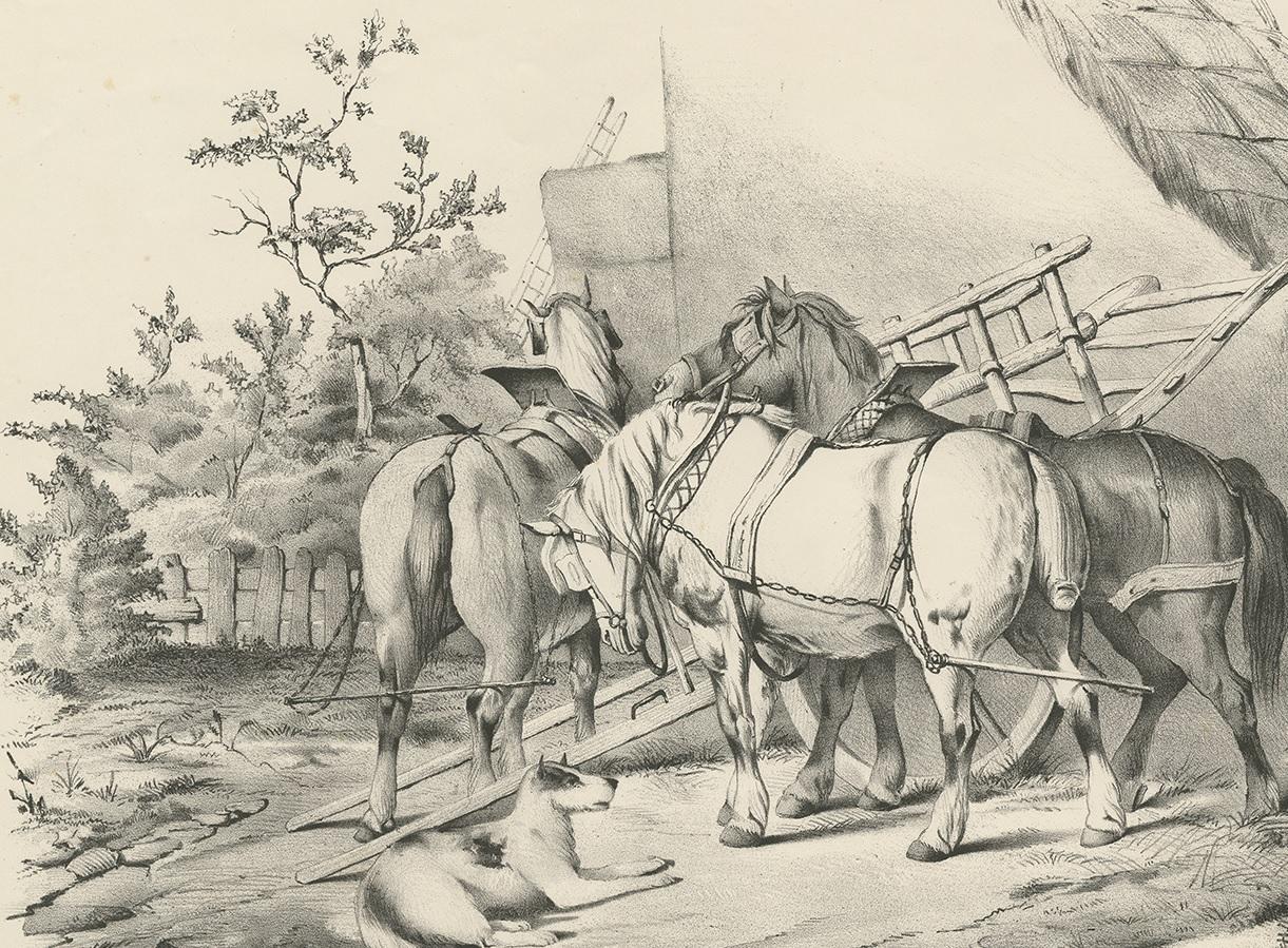 No. 20 Antique Print of Horses by Cooper In Good Condition For Sale In Langweer, NL