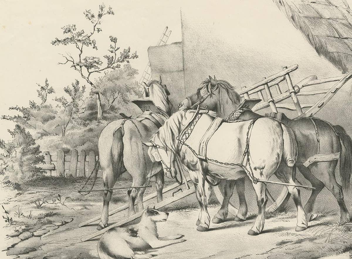 No. 20 Antique Print of Horses by Cooper
