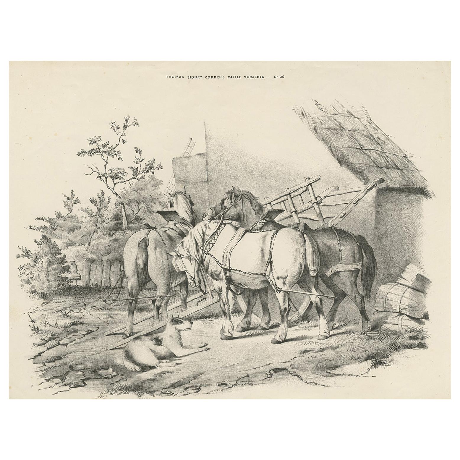 No. 20 Antique Print of Horses by Cooper