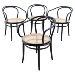 Fauteuils n° 209 en hêtre de Michael Thonet pour Thonet, années 1890, lot de 4