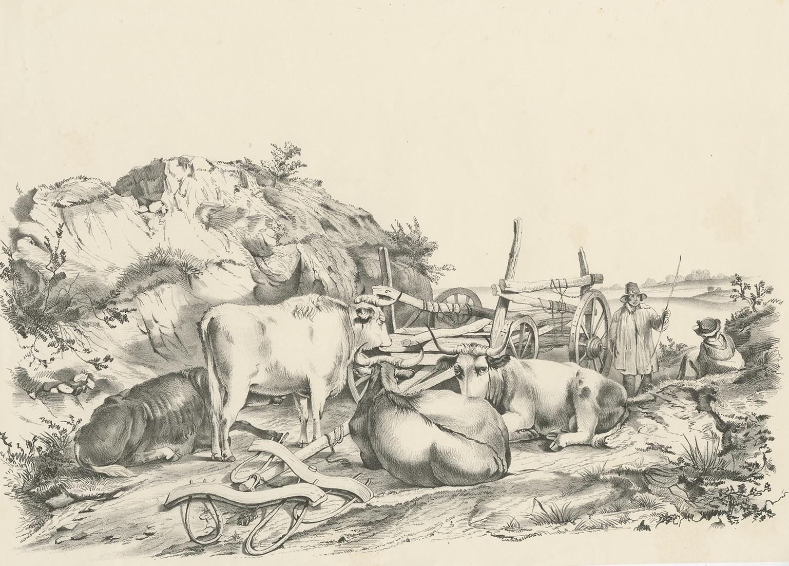 Antique print of various oxen, a cart and farmers. This print originates from 'Cattle Subjects' by Thomas Sidney Cooper. He was an English landscape painter noted for his images of cattle and farm animals.