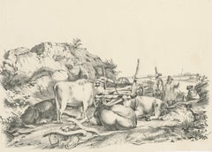 Nº 21 Estampa antigua de bueyes de Cooper, '1839