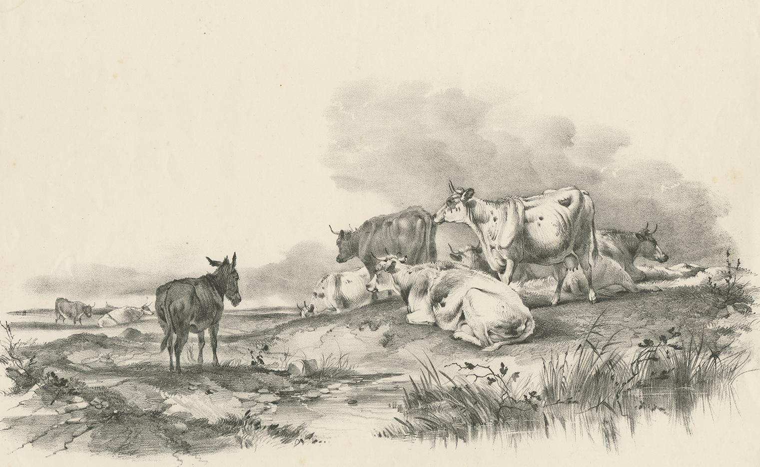 Antique print of cattle and a donkey. This print originates from 'Cattle Subjects' by Thomas Sidney Cooper. He was an English landscape painter noted for his images of cattle and farm animals.