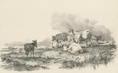No. 29 Antique Print of Cattle and a Donkey by Cooper, 1839