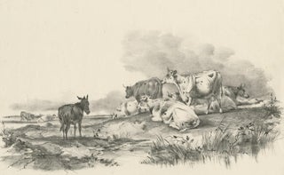 No. 29 Antique Print of Cattle and a Donkey by Cooper, 1839, view 2