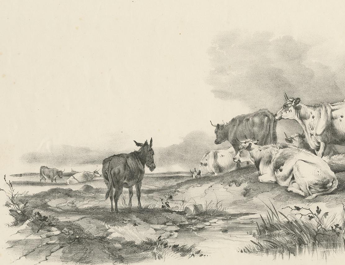 No. 29 Antique Print of Cattle and a Donkey by Cooper, 1839 In Good Condition For Sale In Langweer, NL