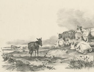 No. 29 Antique Print of Cattle and a Donkey by Cooper, 1839, view 3