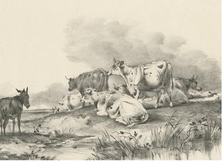 No. 29 Antique Print of Cattle and a Donkey by Cooper, 1839, view 4