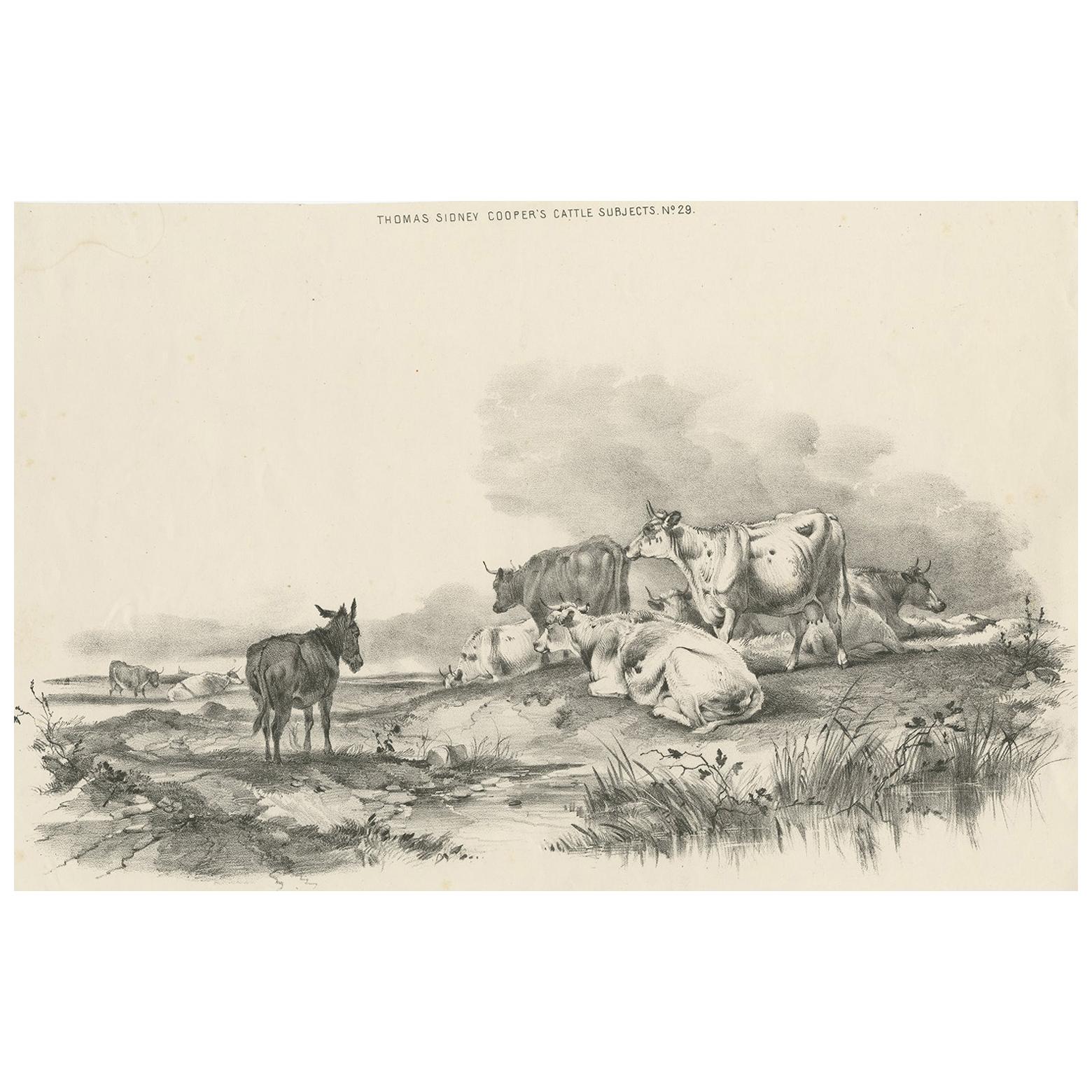 No. 29 Antique Print of Cattle and a Donkey by Cooper, 1839