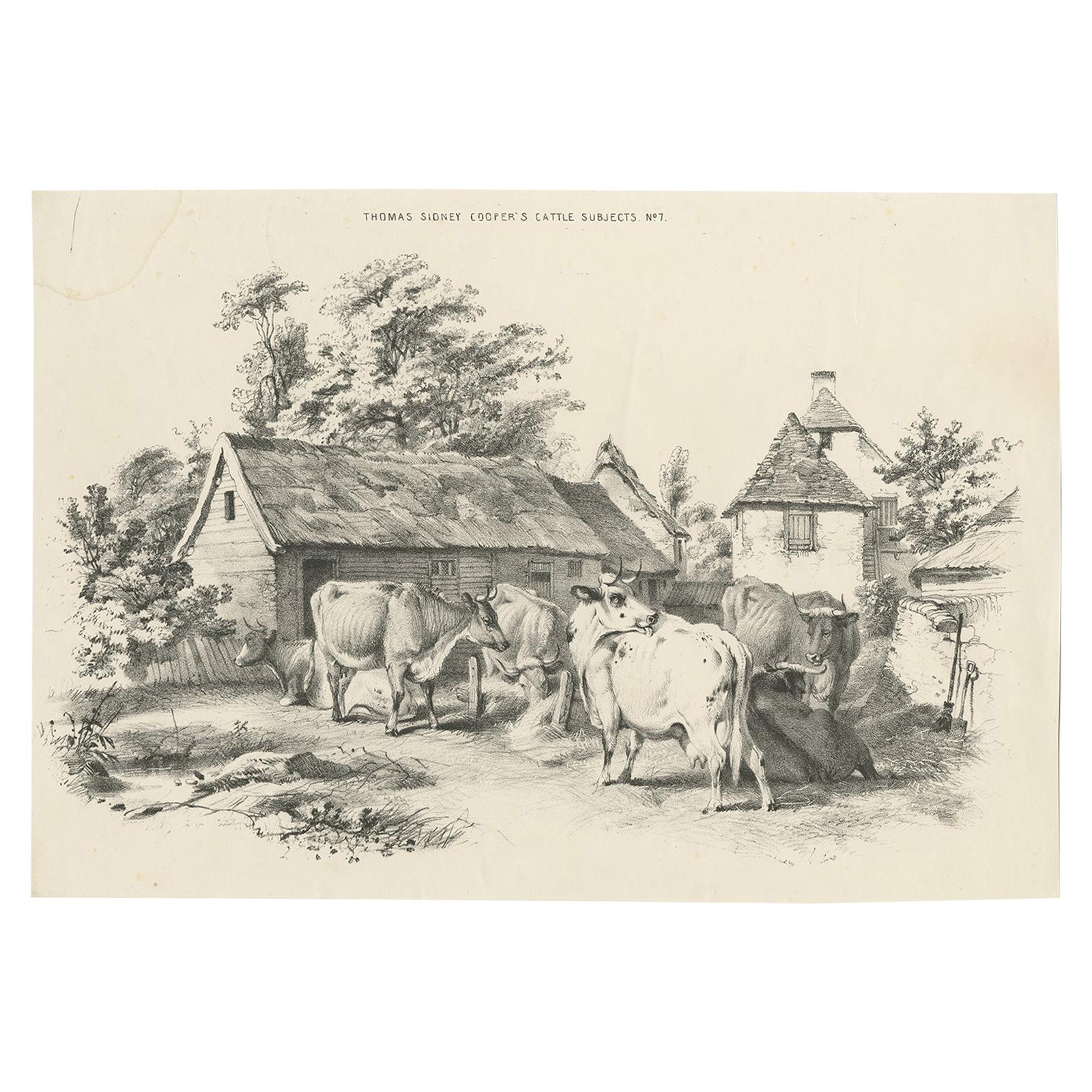 No. 7 Antique Print of Cattle by Cooper For Sale