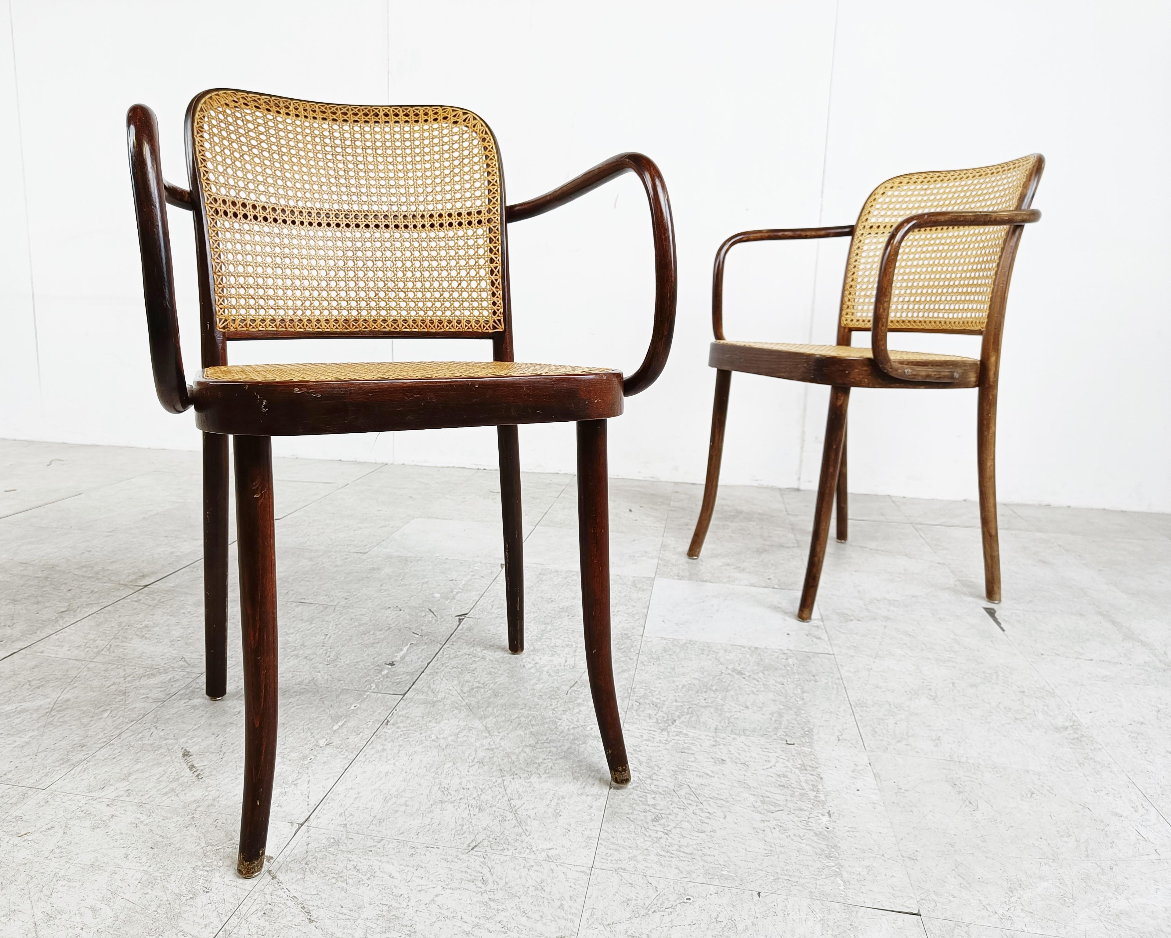 No. 811 Prague Chairs by Josef Hoffmann for Ligna, 1970s, Set of 4 5