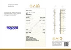 NO RESERVE! 3.54 Carat Tanzanite 7 Stone Eternity Band 14kt White gold - Ring