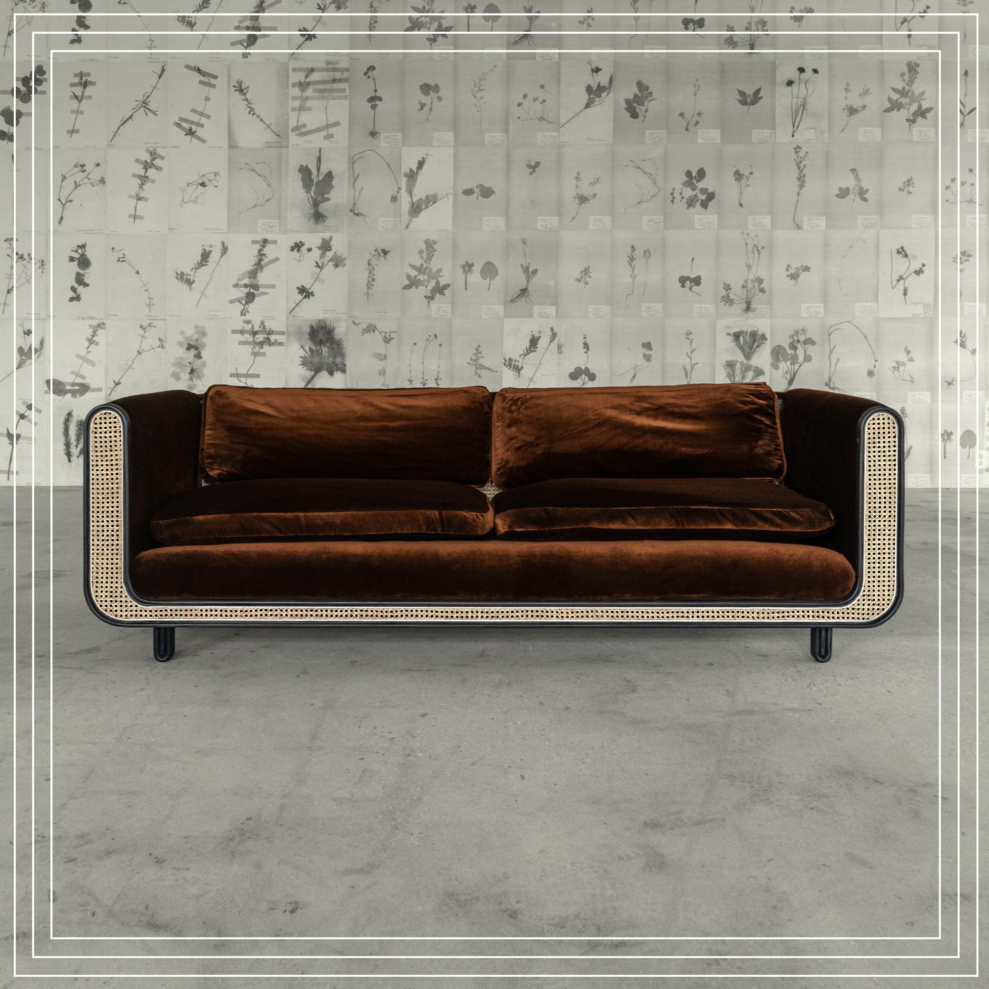 Nº105 Couch - a velvet, cane and hardwood tuxedo sofa from Avoirdupois For Sale 2