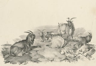 No.4 Antique Print of Goats by Cooper, '1839', view 2