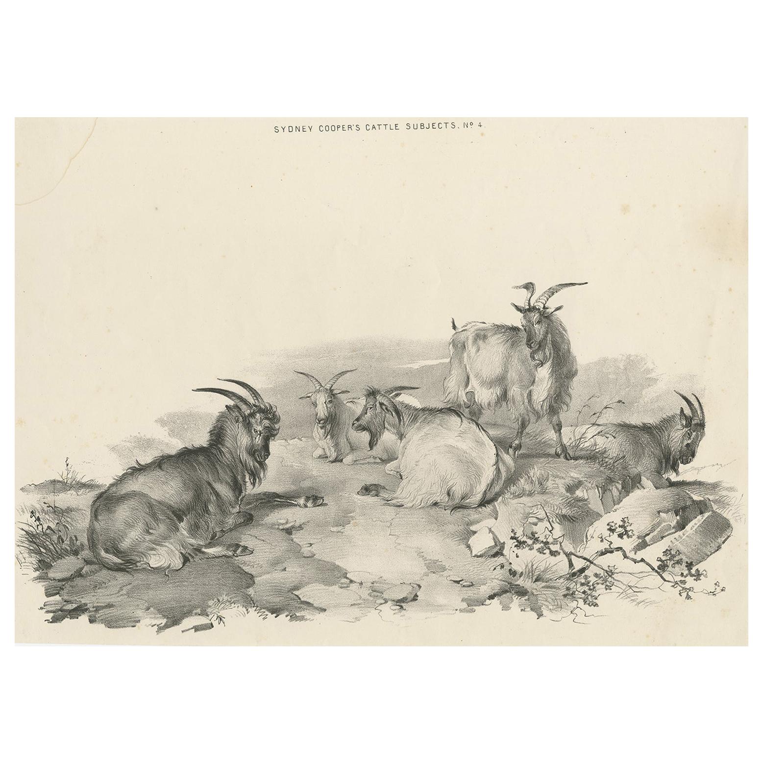 No.4 Antique Print of Goats by Cooper, '1839' For Sale