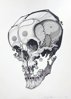 Skull (~40% OFF LIST PRICE - LIMITED TIME ONLY)