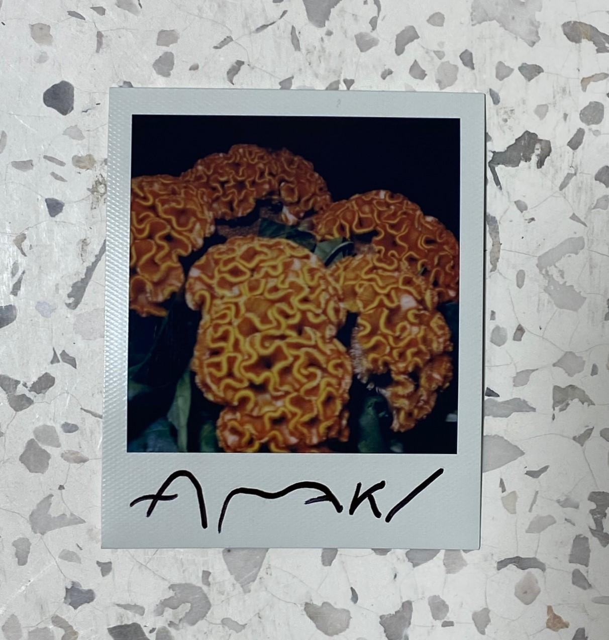 A very engaging, unique, and alluring work by famed Japanese photographer and contemporary artist Nobuyoshi Araki from his 1990s flower series.

This original one-of-a-kind polaroid photographic print is double hand-signed in marker in the lower