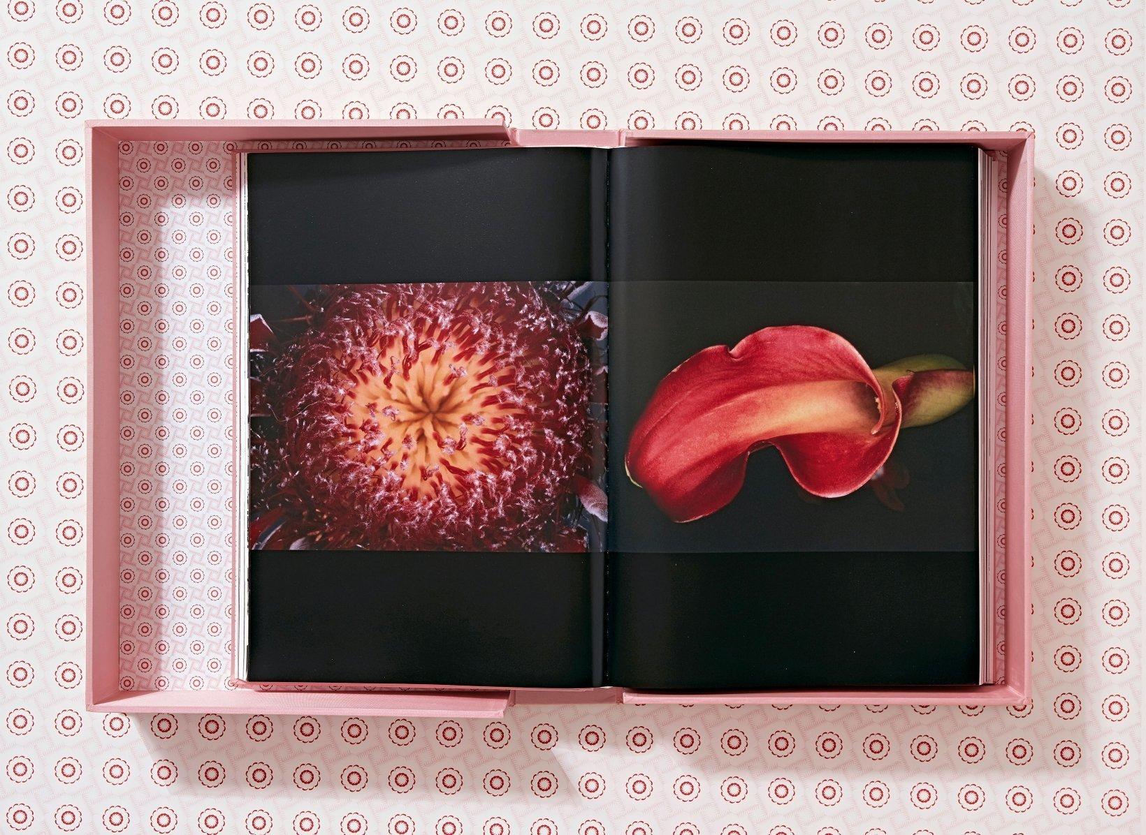 Nobuyoshi Araki, Limited Edition, Signed Book In Excellent Condition For Sale In Los Angeles, CA