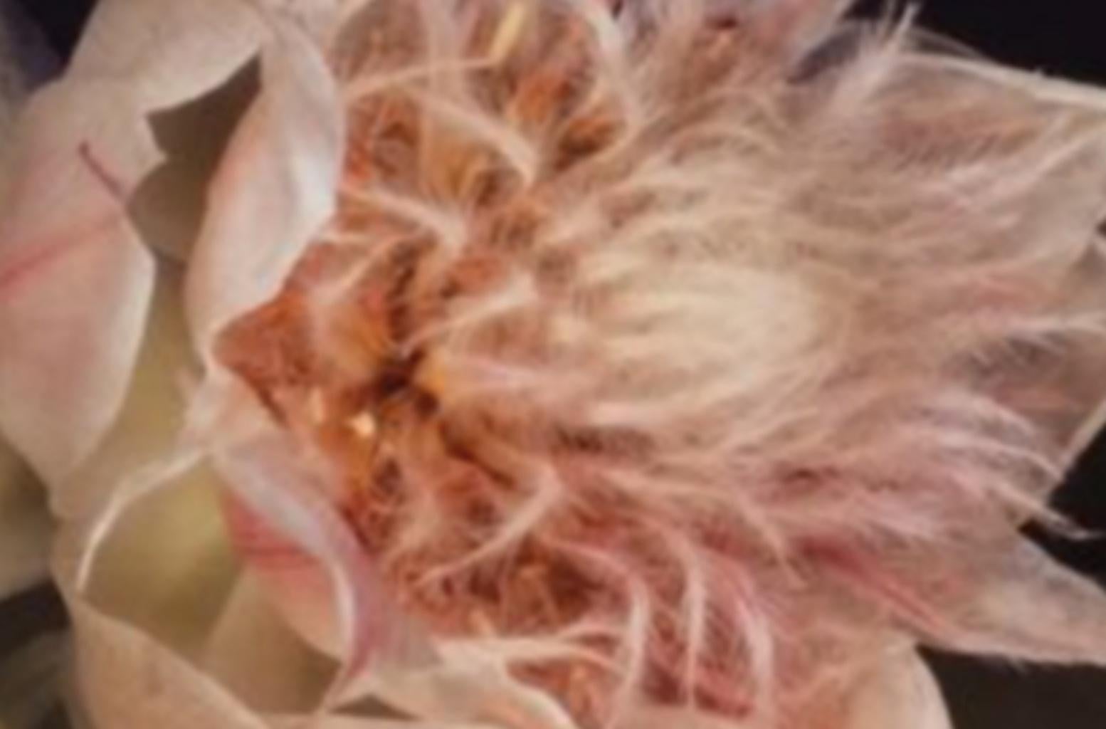 De la série « Kakyok » de Nobuyoshi Araki, photographie, fleur, couleur, nature en vente 1