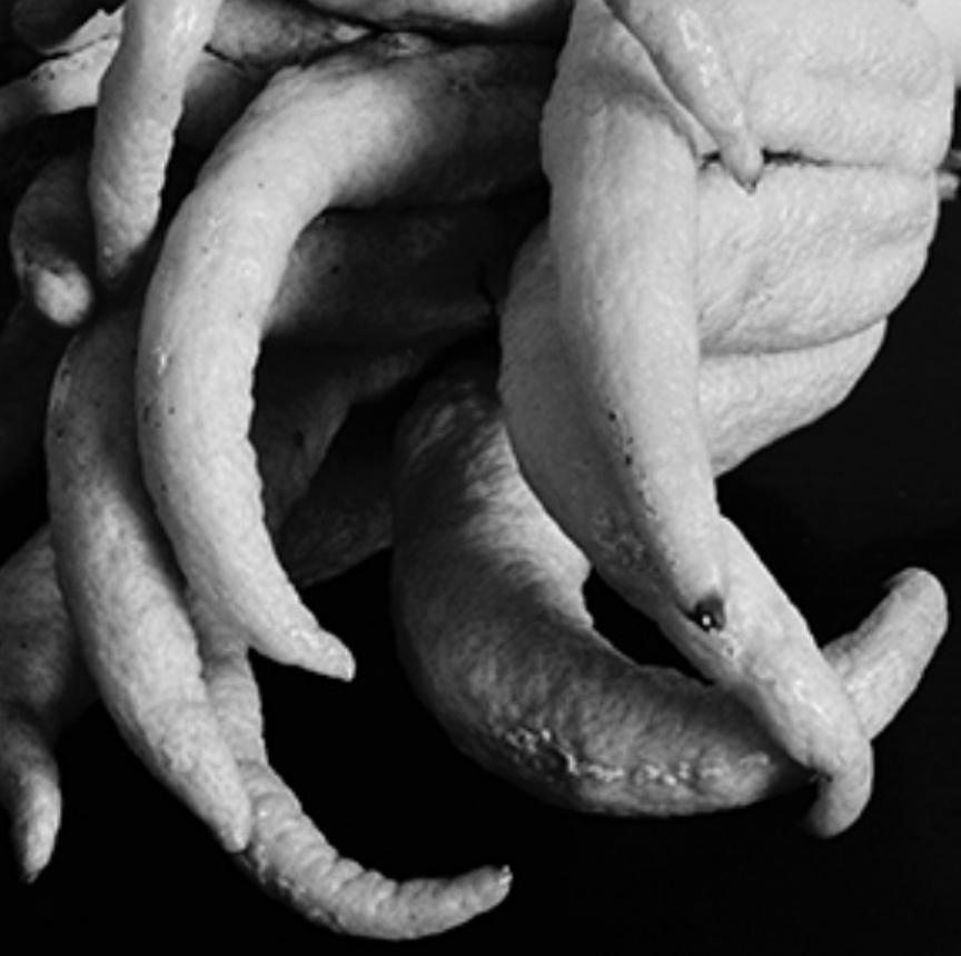 Amour-rêve, amour-rien #004 - Nobuyoshi Araki, Femme, Nu, Japon, Photographie en vente 2