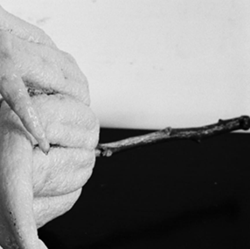 Amour-rêve, amour-rien #004 - Nobuyoshi Araki, Femme, Nu, Japon, Photographie en vente 5