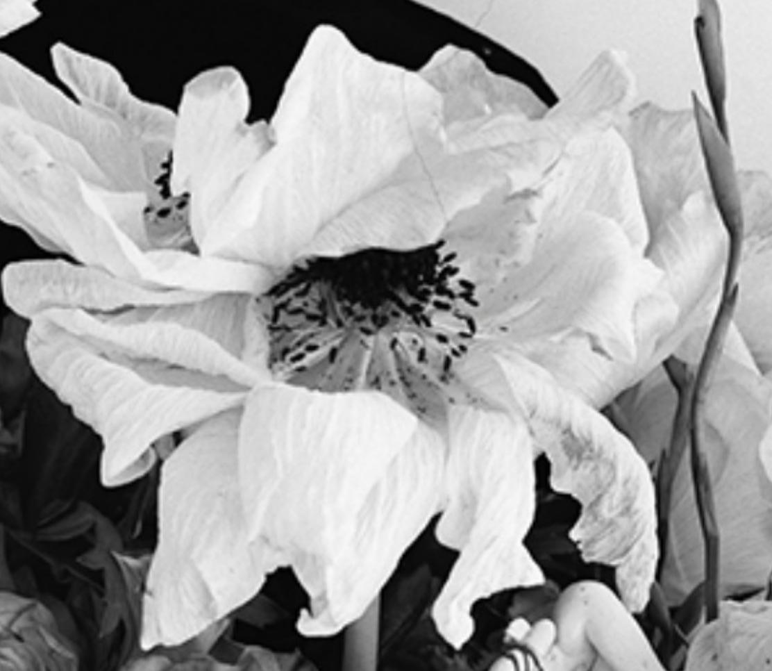 Love-Dream, Love-Nothing #011 Nobuyoshi Araki, Femme, Nu, Japon, Photographie en vente 3