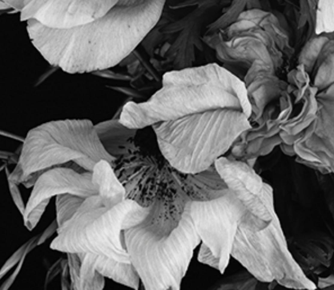 Love-Dream, Love-Nothing #011 Nobuyoshi Araki, Femme, Nu, Japon, Photographie en vente 4
