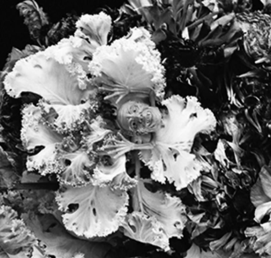 Love-Dream, Love-Nothing #014 Nobuyoshi Araki, Femme, Nu, Japon, Photographie en vente 1