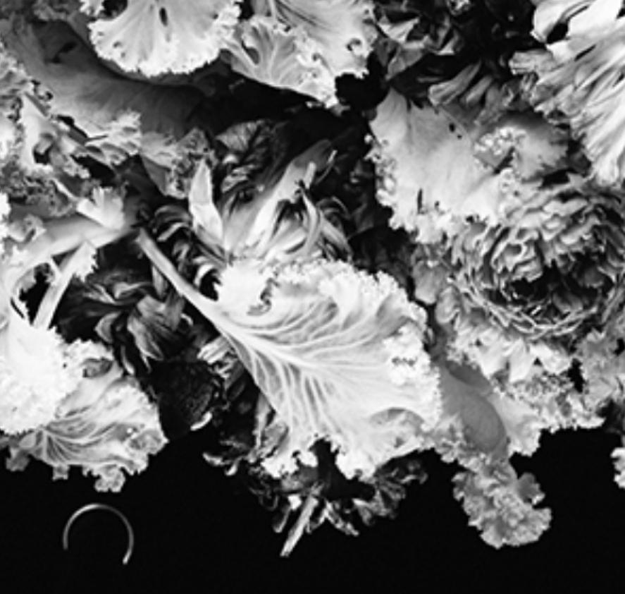 Love-Dream, Love-Nothing #014 Nobuyoshi Araki, Femme, Nu, Japon, Photographie en vente 2