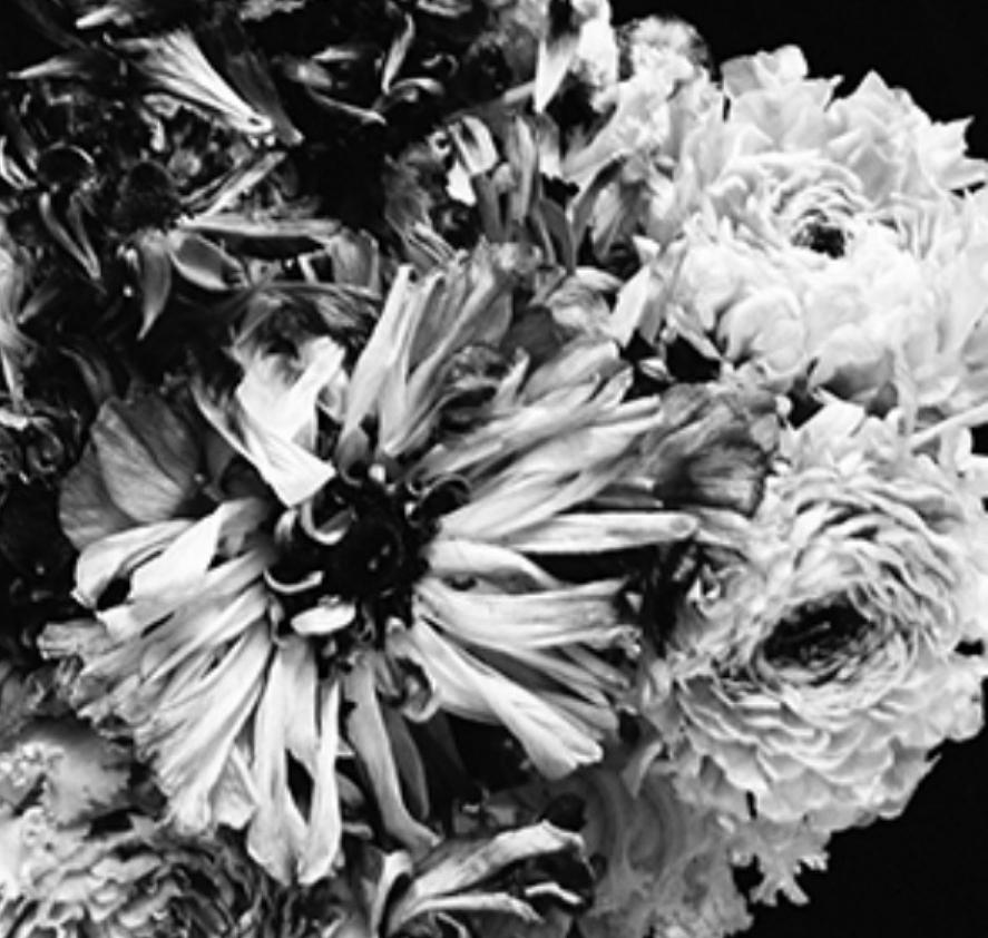 Love-Dream, Love-Nothing #014 Nobuyoshi Araki, Femme, Nu, Japon, Photographie en vente 3