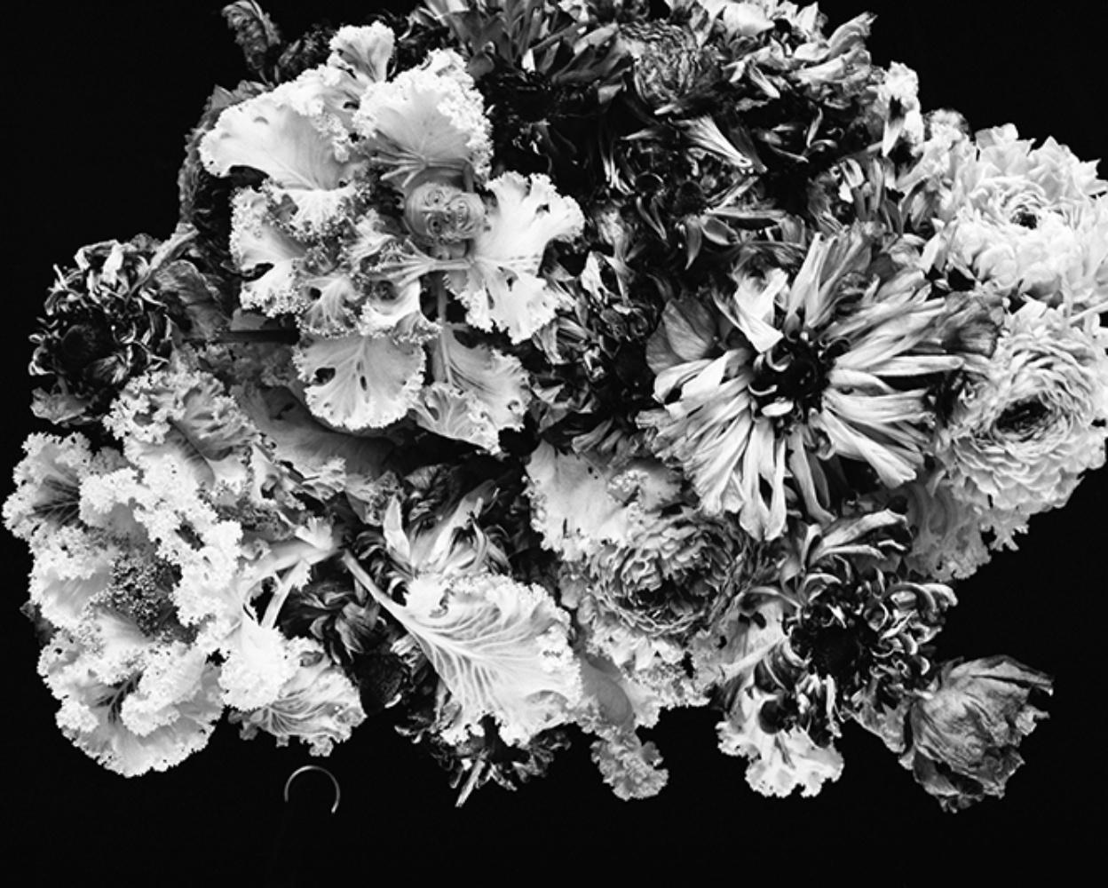 Nobuyoshi ARAKI (*1940, Japan)
Love-Dream, Love-Nothing #014, 2018
gelatinesilberdruck
50.8 x 60 cm (20 x 23 5/8 Zoll)
Nur drucken

- Nobuyoshi Araki
Nobuyoshi Araki (Tokio, 1940) ist ein in Tokio lebender Fotograf. Araki schloss sein Studium an der