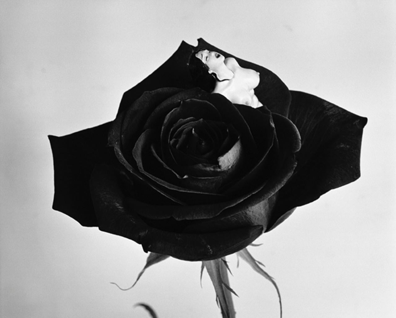 Nobuyoshi ARAKI (*1940, Japon)
Rêve d'amour, rien d'amour #026, 2018
impression à la gélatine argentique
50,8 x 60 cm (20 x 23 5/8 in.)
Imprimer seulement

- Nobuyoshi Araki
Nobuyoshi Araki (Tokyo, 1940) est un photographe basé à Tokyo. Araki a