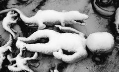 Love-Dream, Love-Nothing #030 – Nobuyoshi Araki, Woman, Nude, Japan, Photography