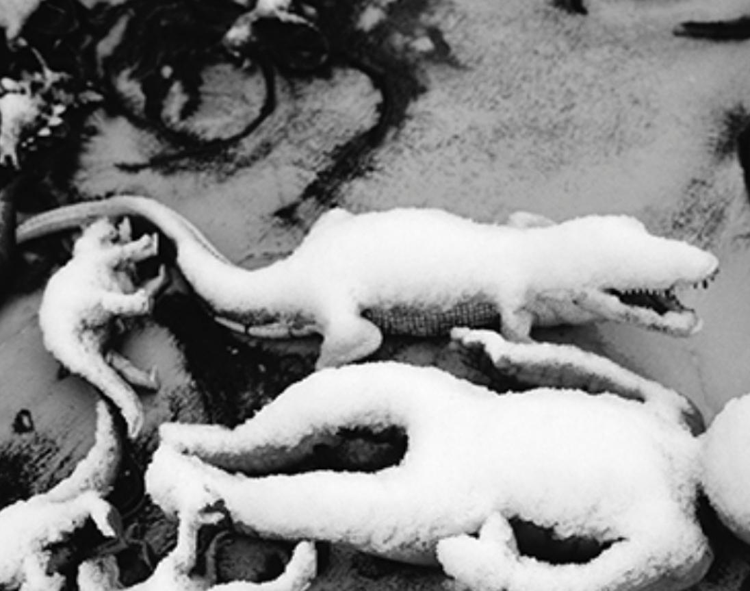Amor-Sueño, Amor-Nada #030 - Nobuyoshi Araki, Mujer, Desnudo, Japón, Fotografía en venta 2