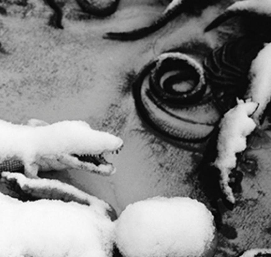 Amor-Sueño, Amor-Nada #030 - Nobuyoshi Araki, Mujer, Desnudo, Japón, Fotografía en venta 3